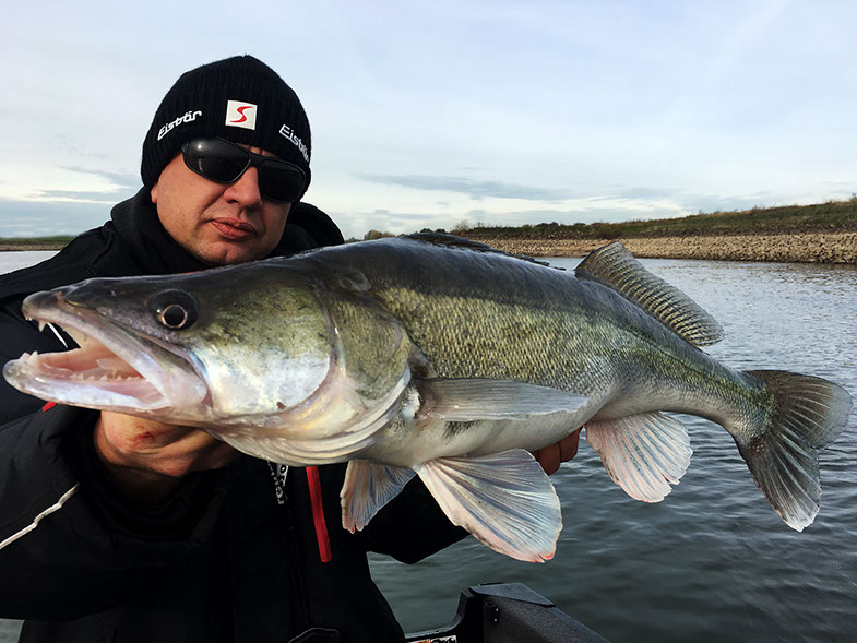 Motorguide Xi5 Pinpoint gps