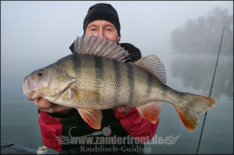 Barsch Guiding Holland