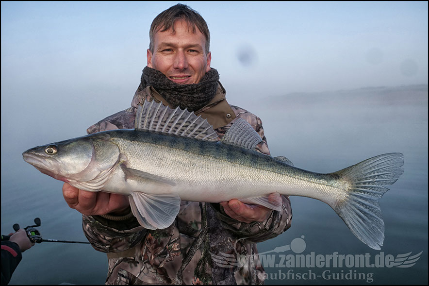 Seika Pro speed shad