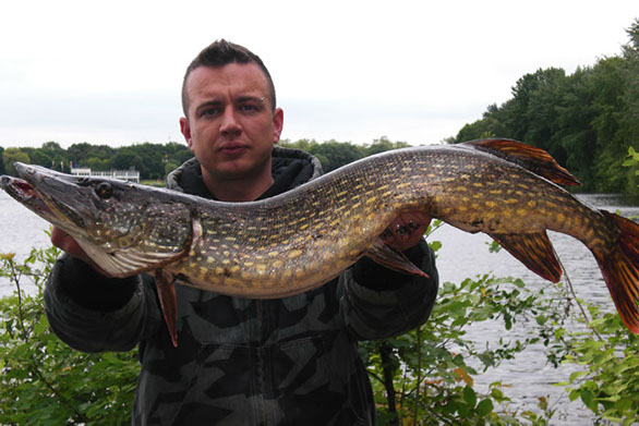 Hecht auf Jerkbait Eigenbau