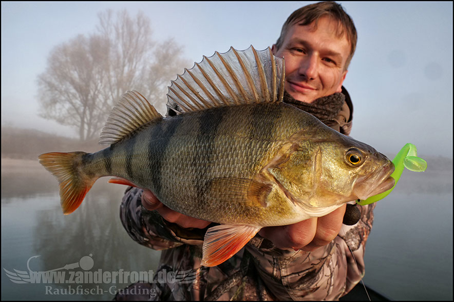 monster Hecht vertikal