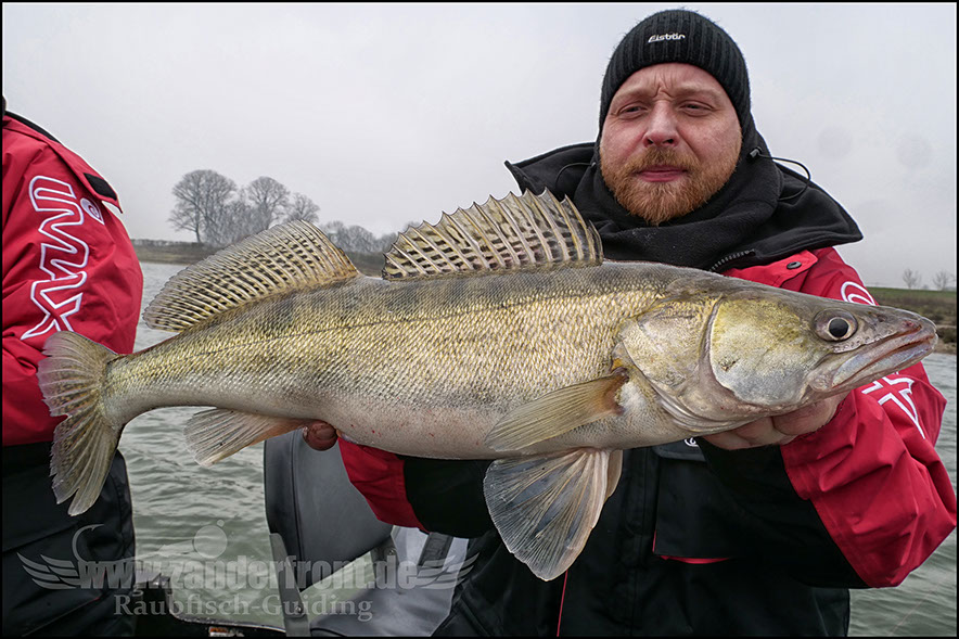 monster Hecht vertikal