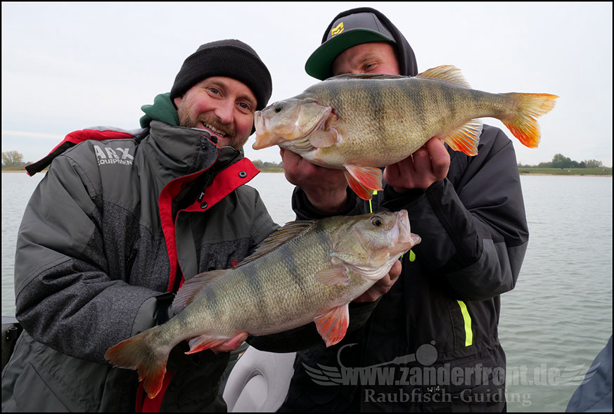 monster Hecht vertikal