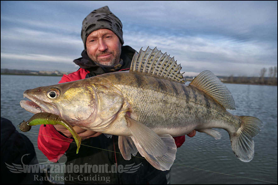 monster Hecht vertikal