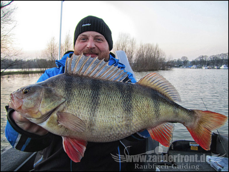 monster Hecht vertikal