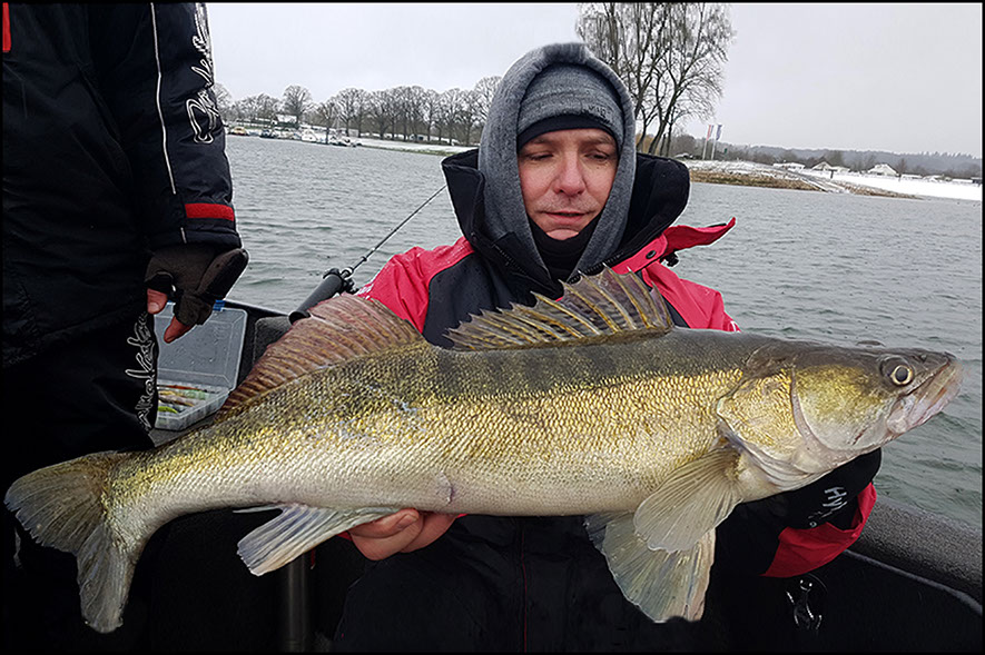 monster Hecht vertikal