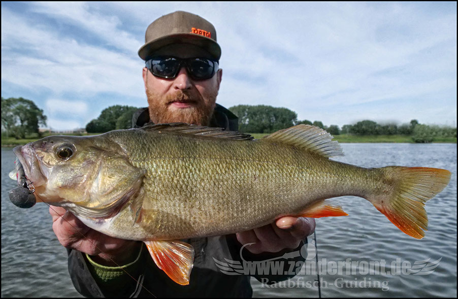 monster Hecht vertikal