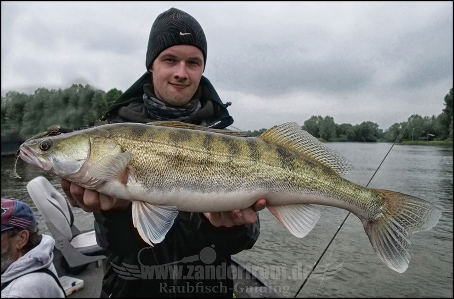 monster Hecht vertikal