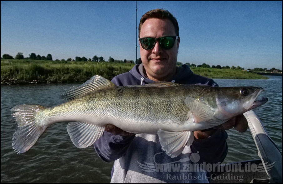 monster Hecht vertikal