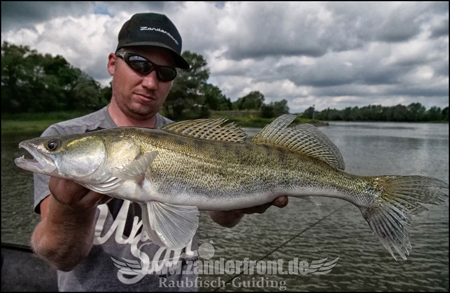 monster Hecht vertikal