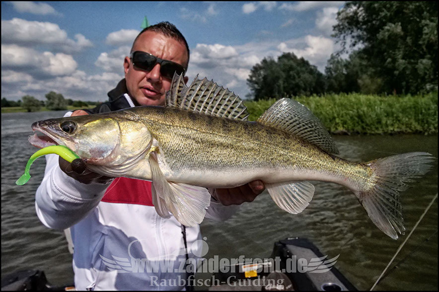 monster Hecht vertikal