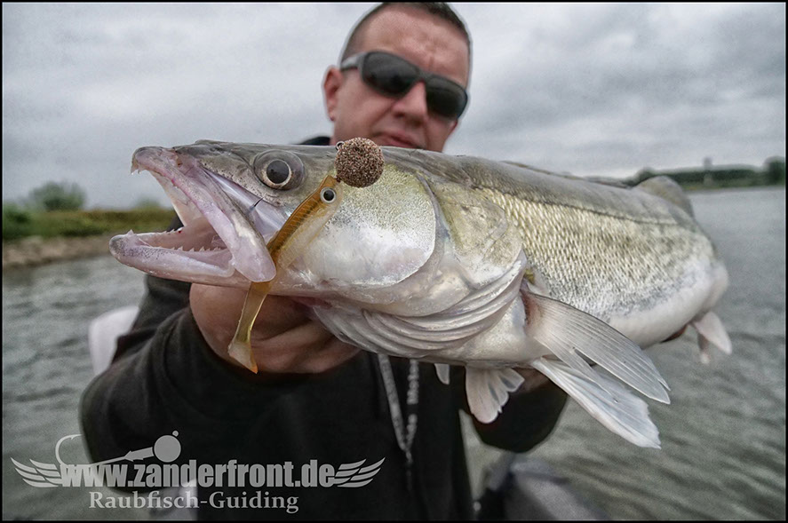 monster Hecht vertikal