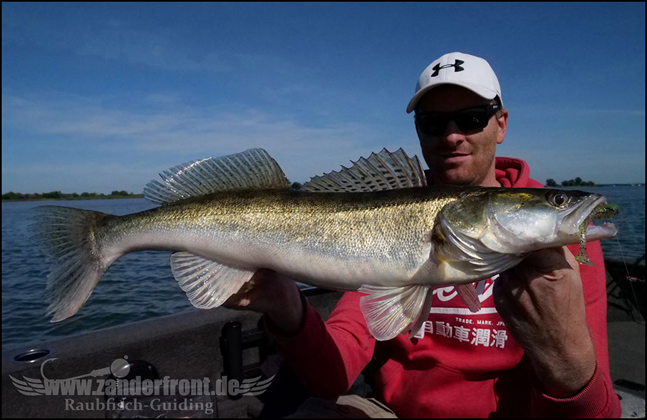 monster Hecht vertikal