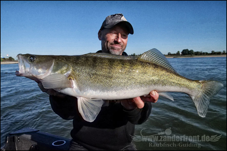 monster Hecht vertikal