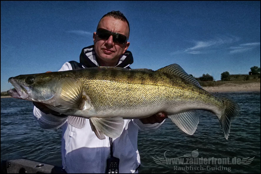 monster Hecht vertikal