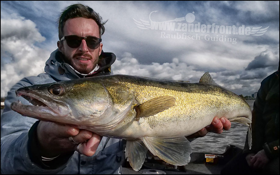 monster Hecht vertikal