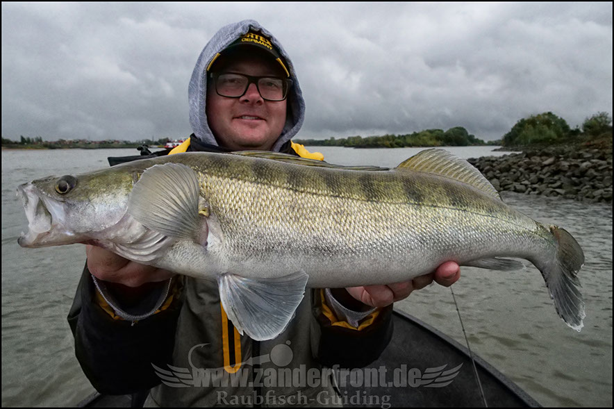 monster Hecht vertikal