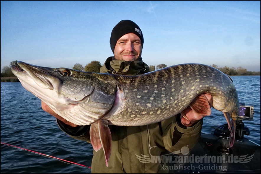 monster Hecht vertikal