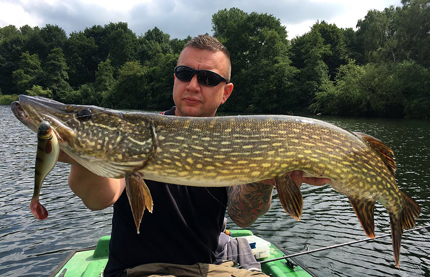 Westin gummifisch Hecht 