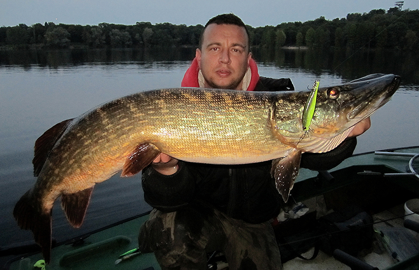 mit wobbler auf Hecht