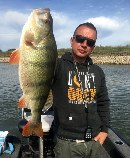 spinnfischen auf Barsch