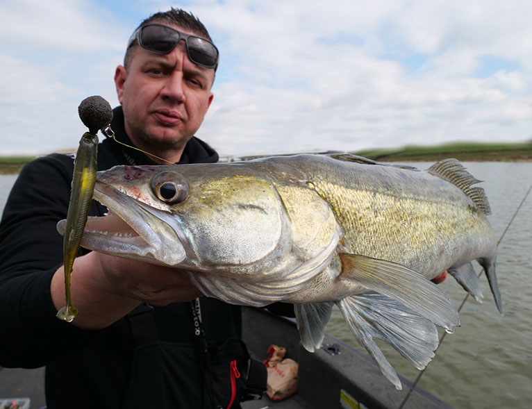 Fish Arrow Flash J Shad