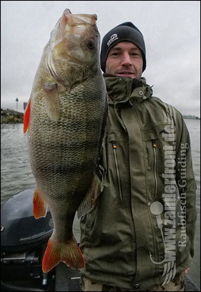 Daiwa tournament 8 braid evo