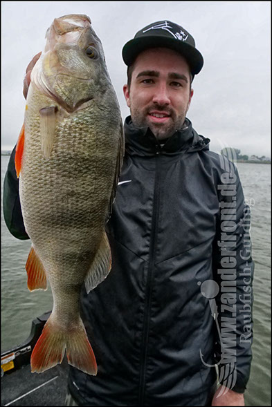 Daiwa tournament 8 braid evo