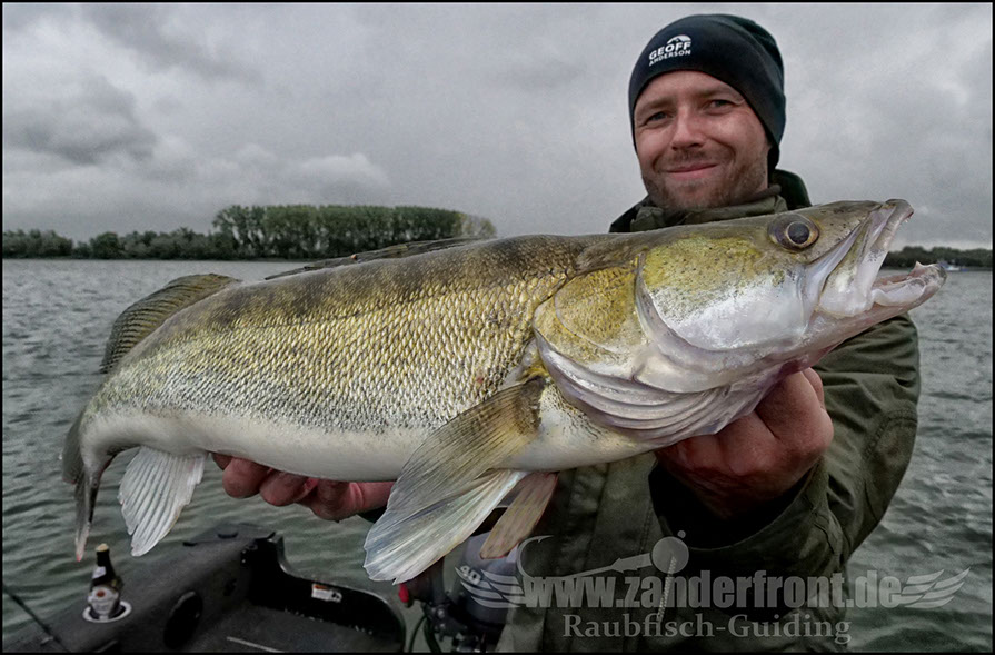 Daiwa tournament 8 braid evo