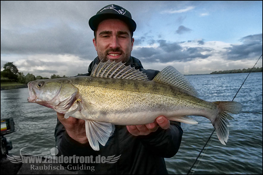 Daiwa tournament 8 braid evo