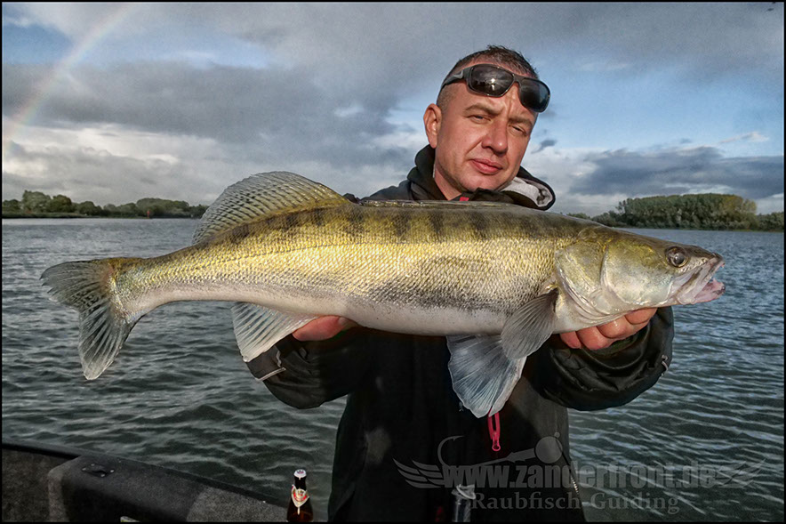 Daiwa tournament 8 braid evo