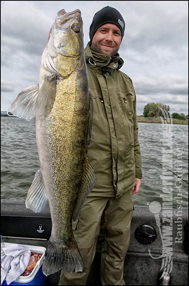 Daiwa tournament 8 braid evo