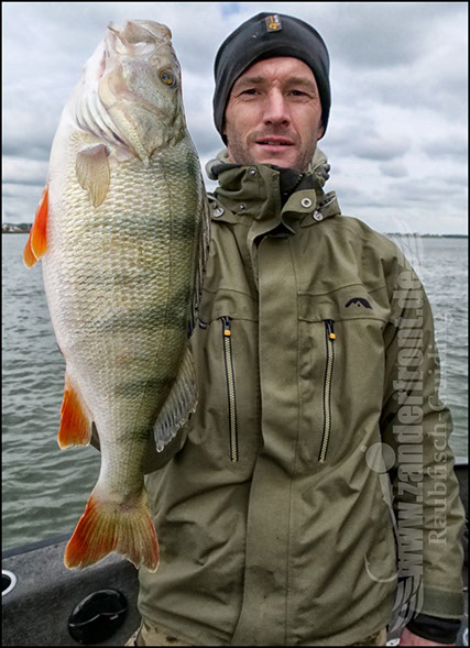 Daiwa tournament 8 braid evo