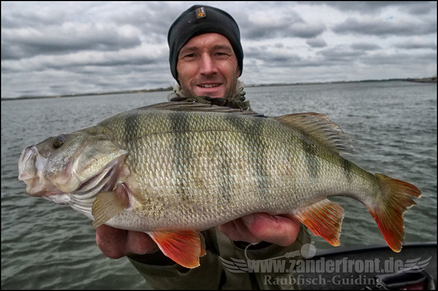 Daiwa tournament 8 braid evo