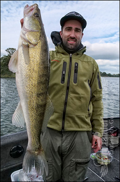 Daiwa tournament 8 braid evo