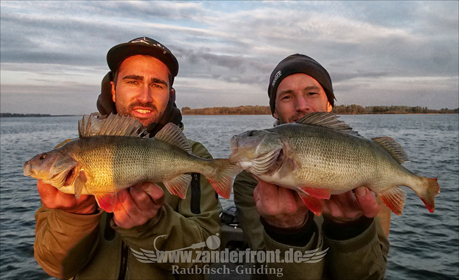 Daiwa tournament 8 braid evo