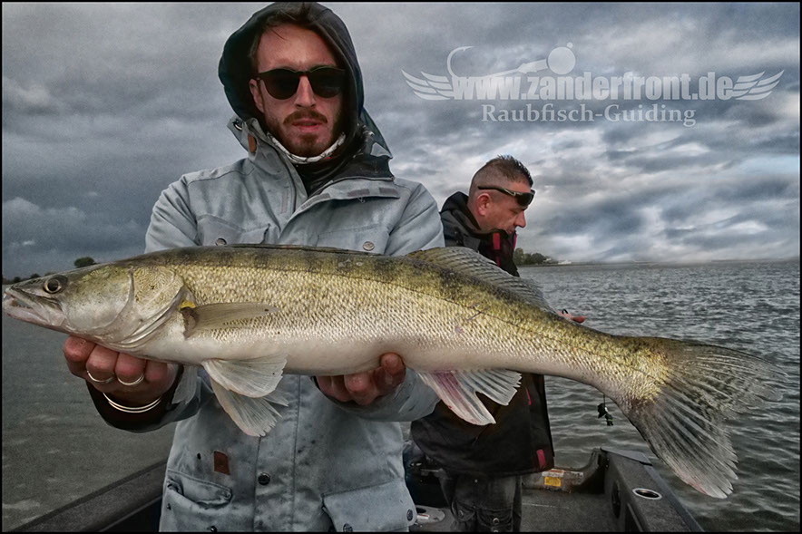 Daiwa tournament 8 braid evo