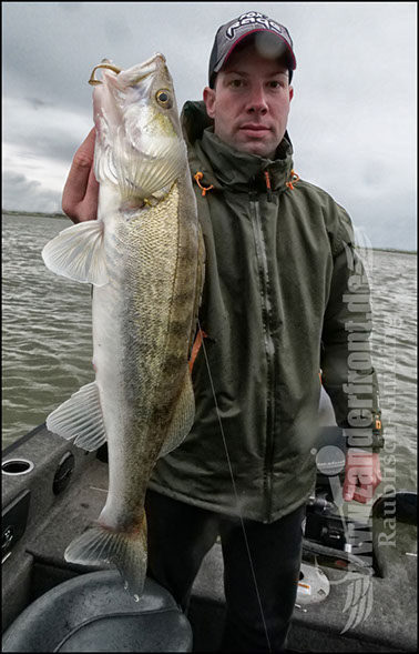 Daiwa tournament 8 braid evo