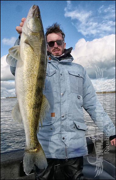 Daiwa tournament 8 braid evo