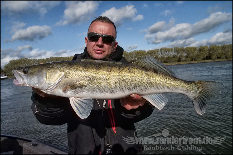 Daiwa tournament 8 braid evo