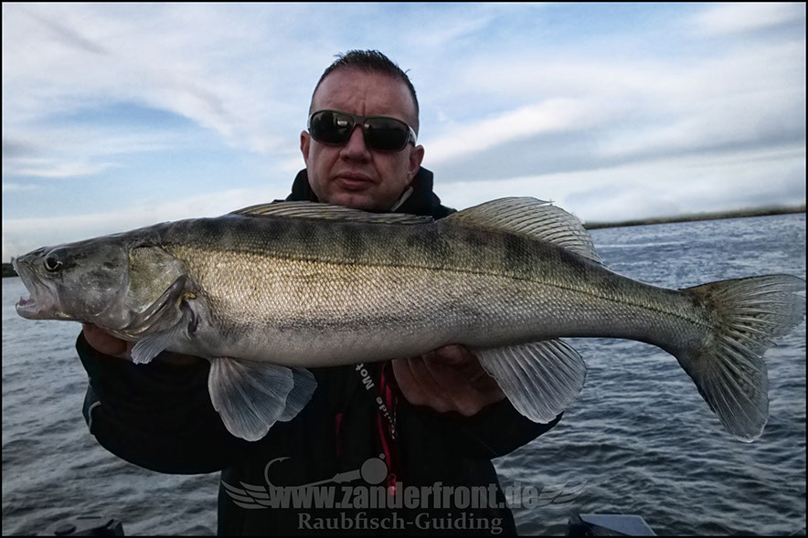 Daiwa tournament 8 braid evo