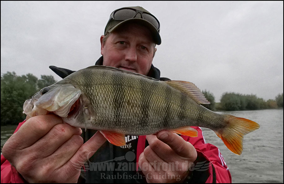 Daiwa tournament 8 braid evo