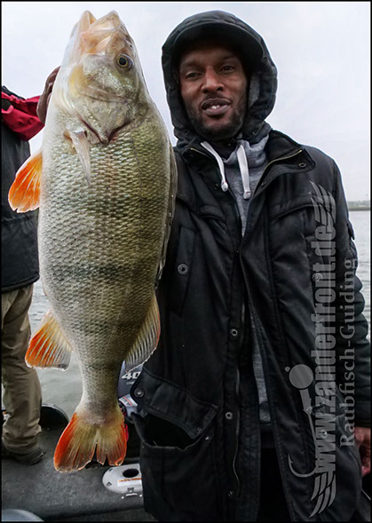 Daiwa tournament 8 braid evo