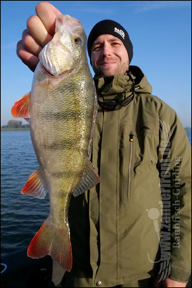 Daiwa tournament 8 braid evo