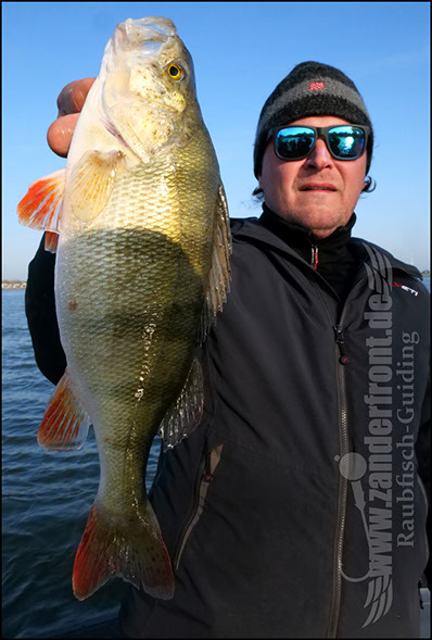 Daiwa tournament 8 braid evo