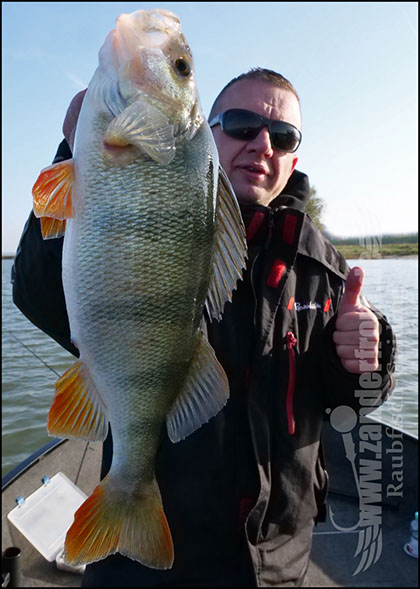 Daiwa tournament 8 braid evo