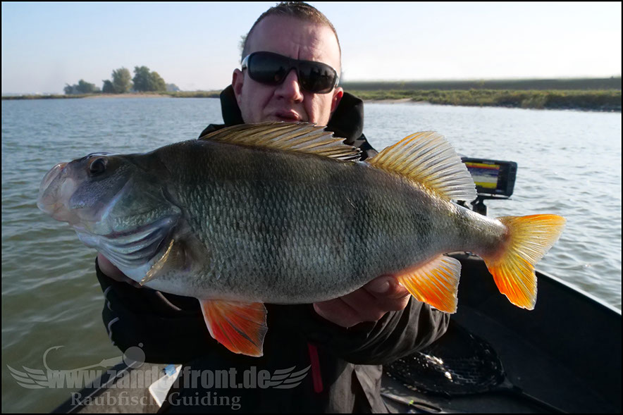 Daiwa tournament 8 braid evo