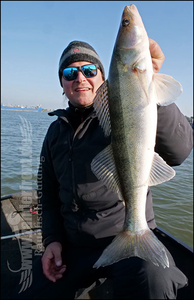 Daiwa tournament 8 braid evo