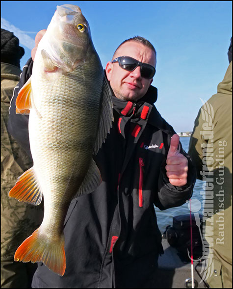 Daiwa tournament 8 braid evo