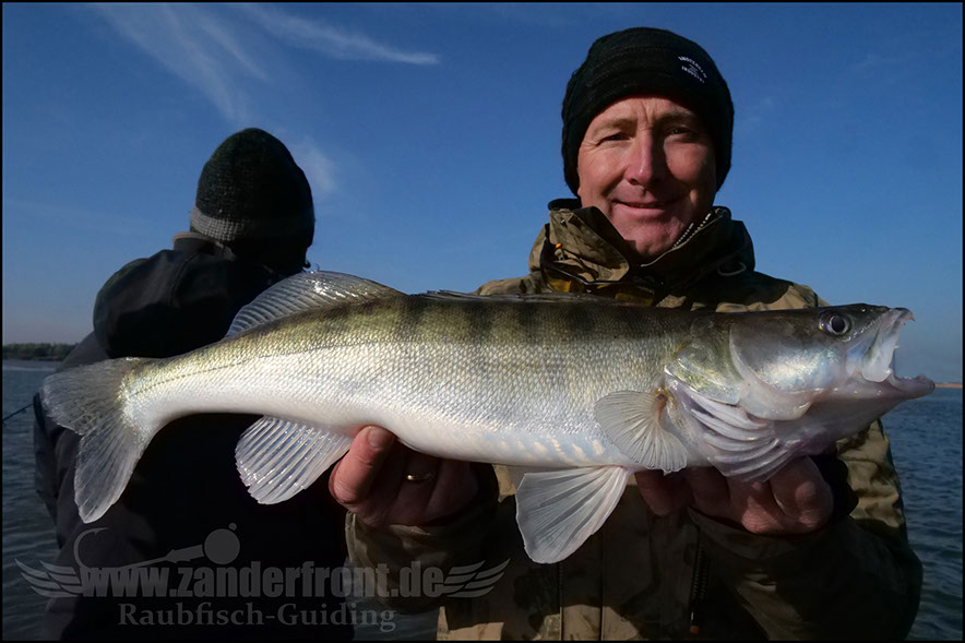 Daiwa tournament 8 braid evo